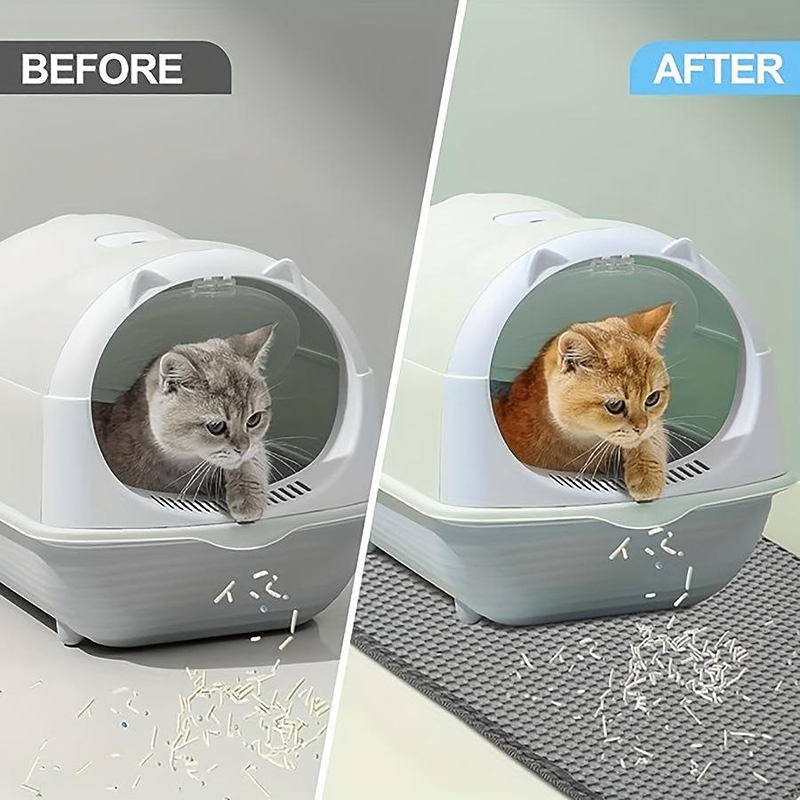 Cat Litter Mat 2-Layer Design  - Mattress Protector Waterproof review and price