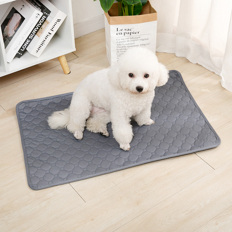 Reusable Dog Pee Pad Blanket A - Mattress Protector Waterproof review and price