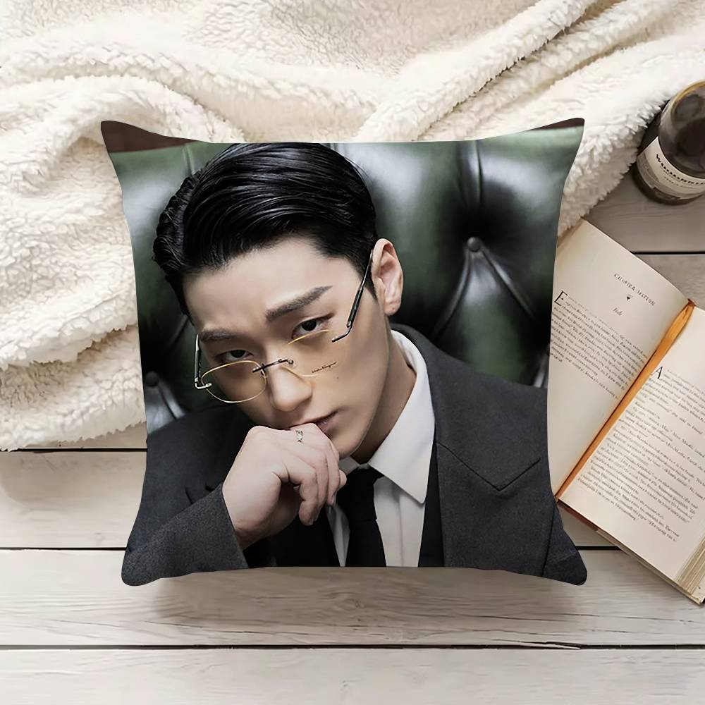 C-Choi S-San Pillow Cover Sofa - Home Textiles Inc review and price